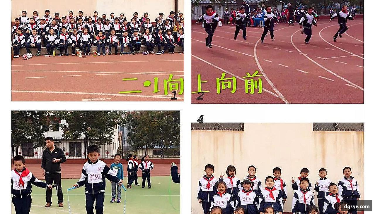 挑战颠峰，践行拼搏